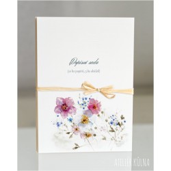 Dopisní sada *Závan vánku*