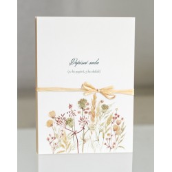 Dopisní sada V trávě