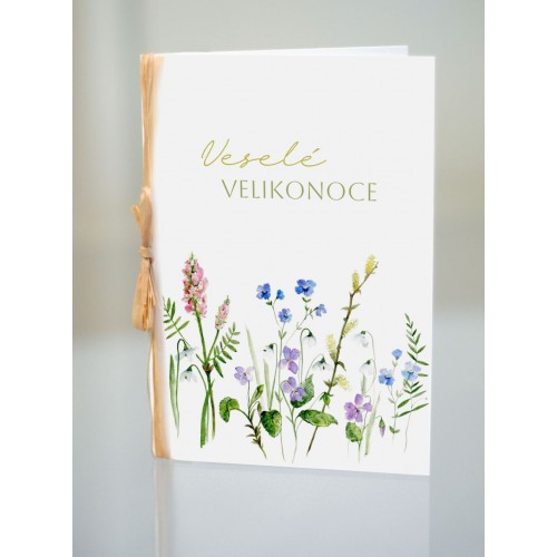 Velikonoční přání Fialky